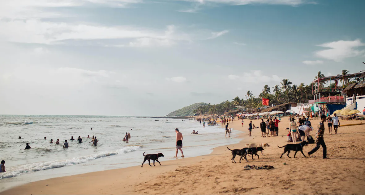 Easy access to beaches